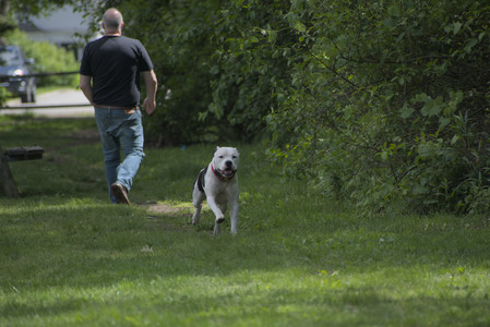 20250601_Dog park and flowers and birds__DSC0493_.jpg