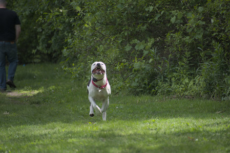 20250601_Dog park and flowers and birds__DSC0497_.jpg