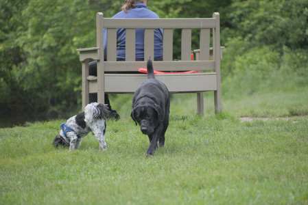 20250601_Dog park and flowers and birds__DSC0522_.jpg