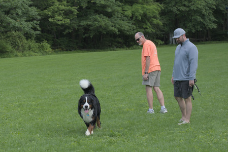 20250602_BIRDS and dog park and MORE BIRDS__DSC0260_.jpg