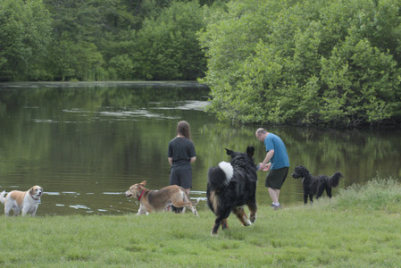 20250602_BIRDS and dog park and MORE BIRDS__DSC0283_.jpg