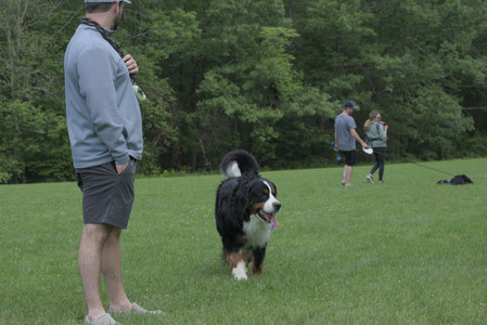 20250602_BIRDS and dog park and MORE BIRDS__DSC0311_.jpg