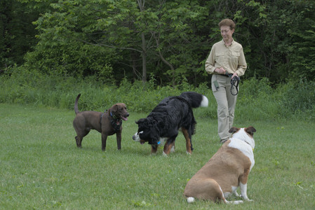 20250602_BIRDS and dog park and MORE BIRDS__DSC0404_.jpg