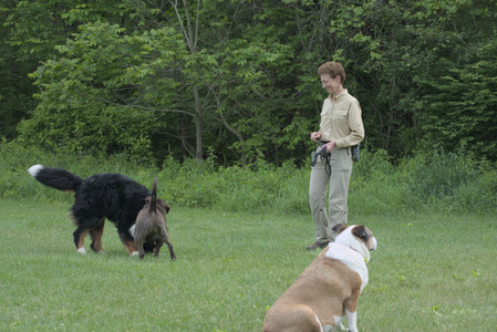 20250602_BIRDS and dog park and MORE BIRDS__DSC0405_.jpg