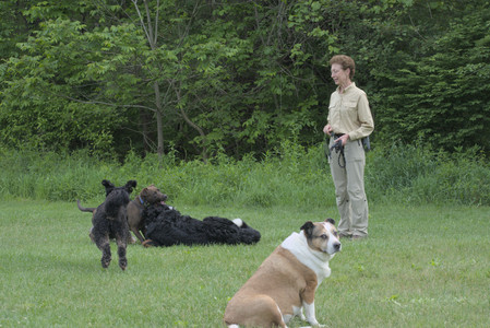 20250602_BIRDS and dog park and MORE BIRDS__DSC0406_.jpg