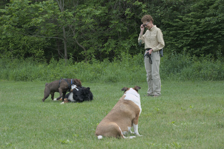 20250602_BIRDS and dog park and MORE BIRDS__DSC0410_.jpg