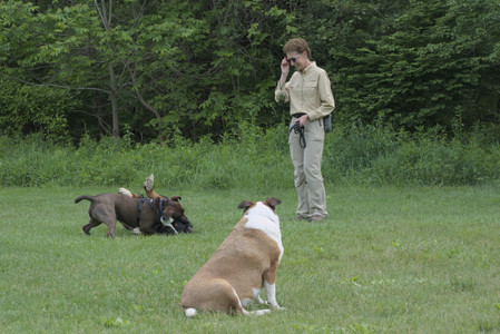 20250602_BIRDS and dog park and MORE BIRDS__DSC0411_.jpg