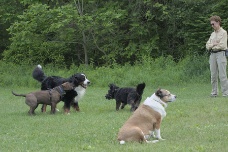 20250602_BIRDS and dog park and MORE BIRDS__DSC0430_.jpg