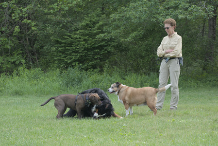 20250602_BIRDS and dog park and MORE BIRDS__DSC0443_.jpg