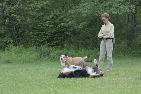 20250602_BIRDS and dog park and MORE BIRDS__DSC0450_.jpg