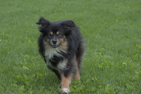 20250602_BIRDS and dog park and MORE BIRDS__DSC0497_.jpg