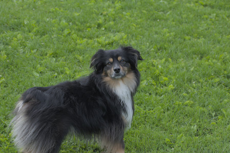 20250602_BIRDS and dog park and MORE BIRDS__DSC0500_.jpg