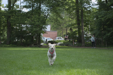 20250602_BIRDS and dog park and MORE BIRDS__DSC0544_.jpg