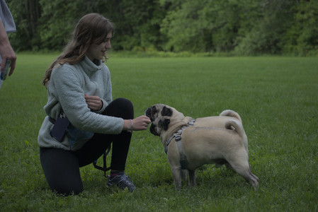 20250602_BIRDS and dog park and MORE BIRDS__DSC0567_.jpg