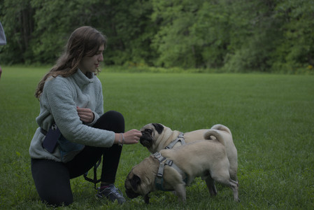 20250602_BIRDS and dog park and MORE BIRDS__DSC0569_.jpg