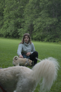 20250602_BIRDS and dog park and MORE BIRDS__DSC0572_.jpg