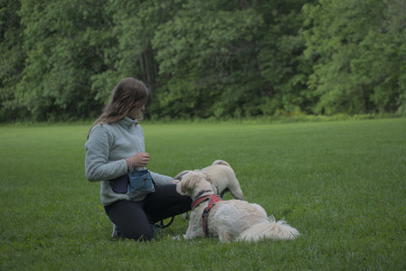 20250602_BIRDS and dog park and MORE BIRDS__DSC0576_.jpg