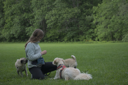 20250602_BIRDS and dog park and MORE BIRDS__DSC0578_.jpg