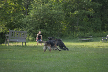 20250603_Birds of Cambridge and dog park__DSC0446_.jpg