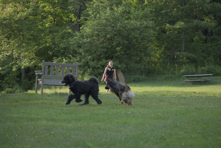 20250603_Birds of Cambridge and dog park__DSC0448_.jpg