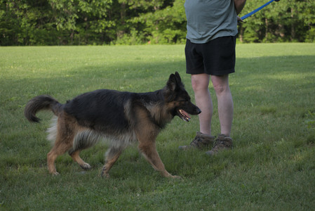 20250603_Birds of Cambridge and dog park__DSC0459_.jpg