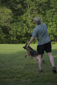 20250603_Birds of Cambridge and dog park__DSC0461_.jpg