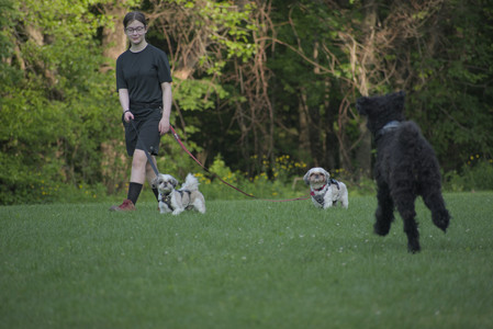 20250603_Birds of Cambridge and dog park__DSC0516_.jpg