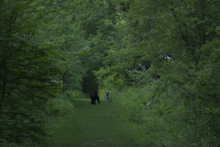 20250603_Birds of Cambridge and dog park__DSC0620_.jpg