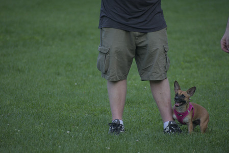 20250603_Birds of Cambridge and dog park__DSC0670_.jpg