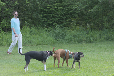 20250604_Cats and dog park and flowers__DSC0084_.jpg