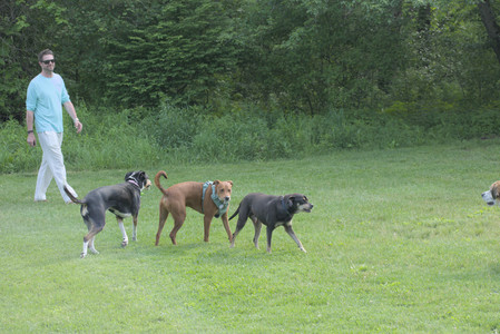 20250604_Cats and dog park and flowers__DSC0085_.jpg