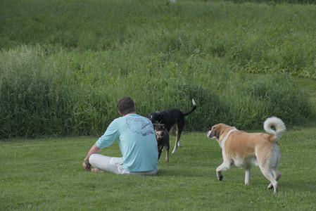 20250604_Cats and dog park and flowers__DSC0096_.jpg