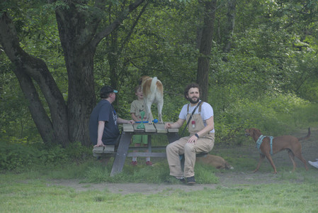 20250604_Cats and dog park and flowers__DSC0107_.jpg