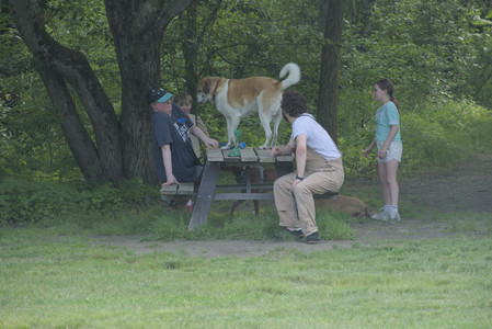 20250604_Cats and dog park and flowers__DSC0109_.jpg