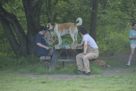 20250604_Cats and dog park and flowers__DSC0112_.jpg