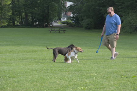 20250604_Cats and dog park and flowers__DSC0134_.jpg