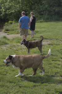 20250604_Cats and dog park and flowers__DSC0159_.jpg