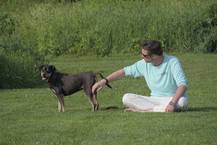 20250604_Cats and dog park and flowers__DSC0171_.jpg