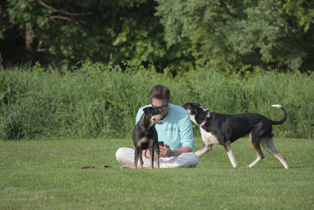 20250604_Cats and dog park and flowers__DSC0179_.jpg