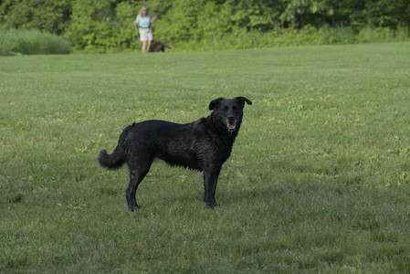 20250604_Cats and dog park and flowers__DSC0215_.jpg