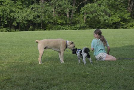 20250604_Cats and dog park and flowers__DSC0223_.jpg