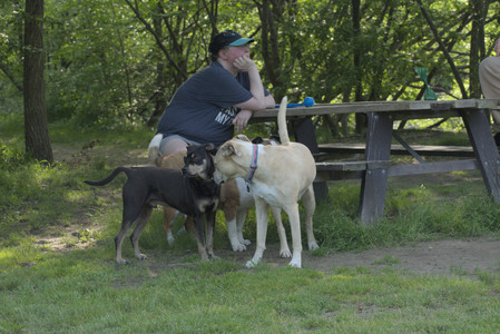 20250604_Cats and dog park and flowers__DSC0252_.jpg