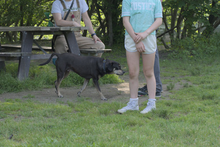 20250604_Cats and dog park and flowers__DSC0255_.jpg