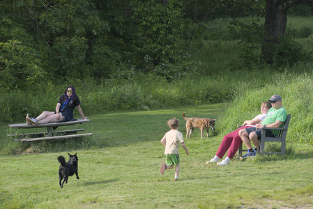 20250604_Cats and dog park and flowers__DSC0293_.jpg