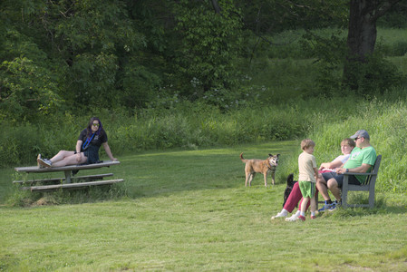 20250604_Cats and dog park and flowers__DSC0294_.jpg