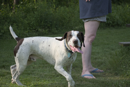 20250604_Cats and dog park and flowers__DSC0336_.jpg