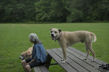 20250606_Flowers and dog park with Alice__DSC0025_.jpg