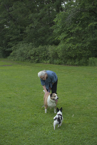 20250606_Flowers and dog park with Alice__DSC0072_.jpg