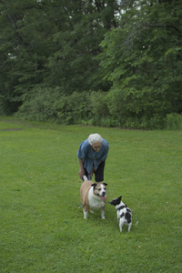 20250606_Flowers and dog park with Alice__DSC0078_.jpg