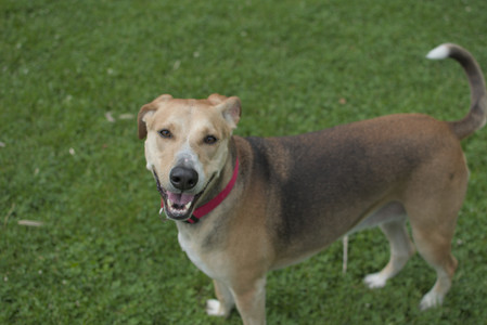 20250606_Flowers and dog park with Alice__DSC0083_.jpg